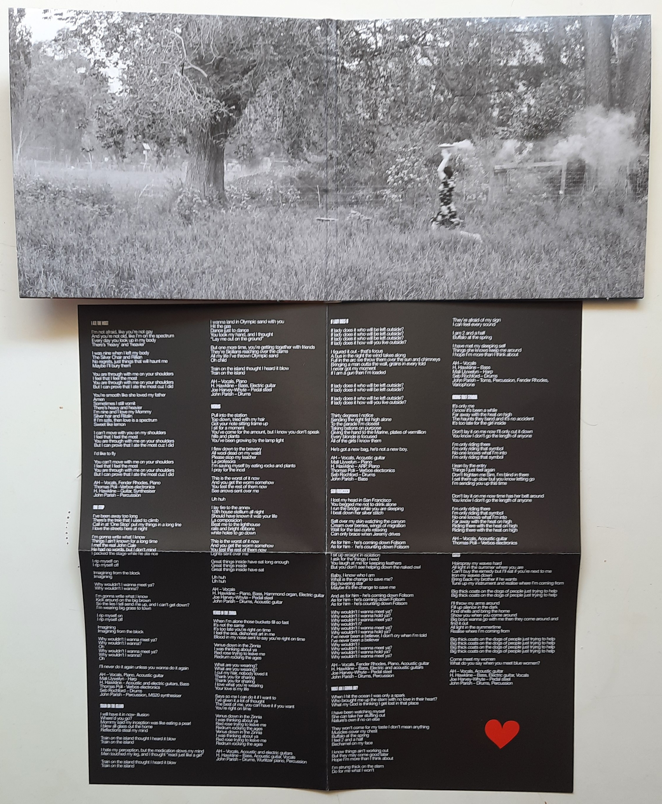 „Train On The Island” – Aldous Harding