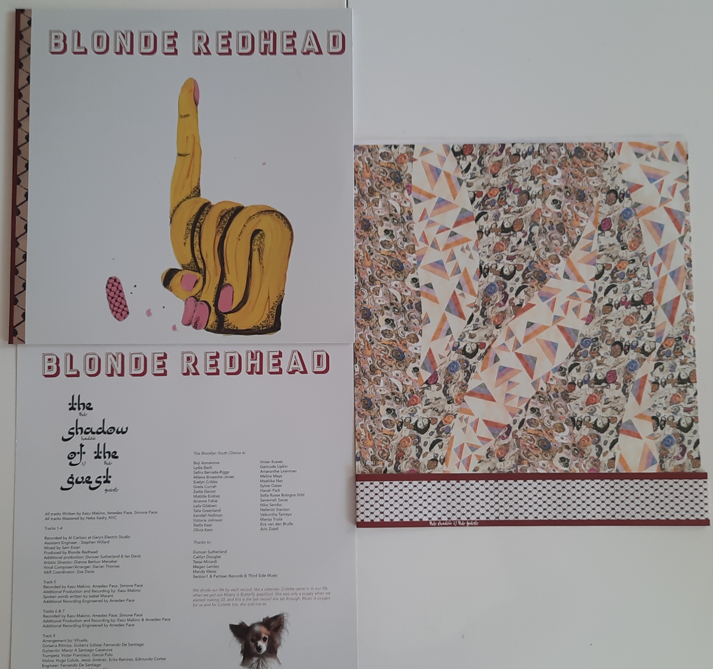 The Shadow of the Guest