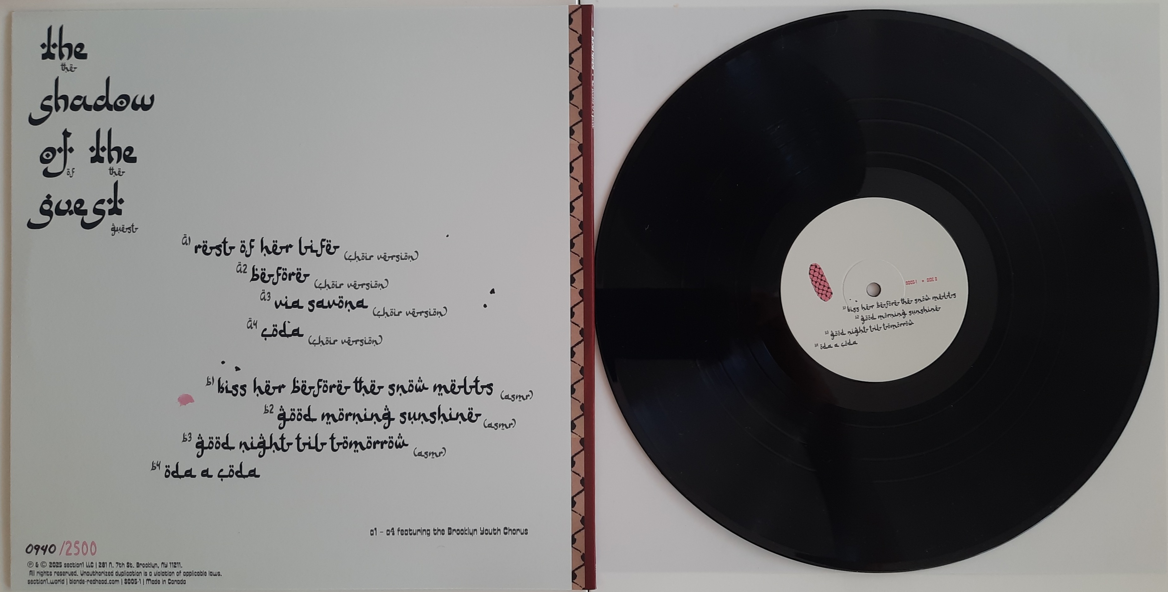 The Shadow of the Guest