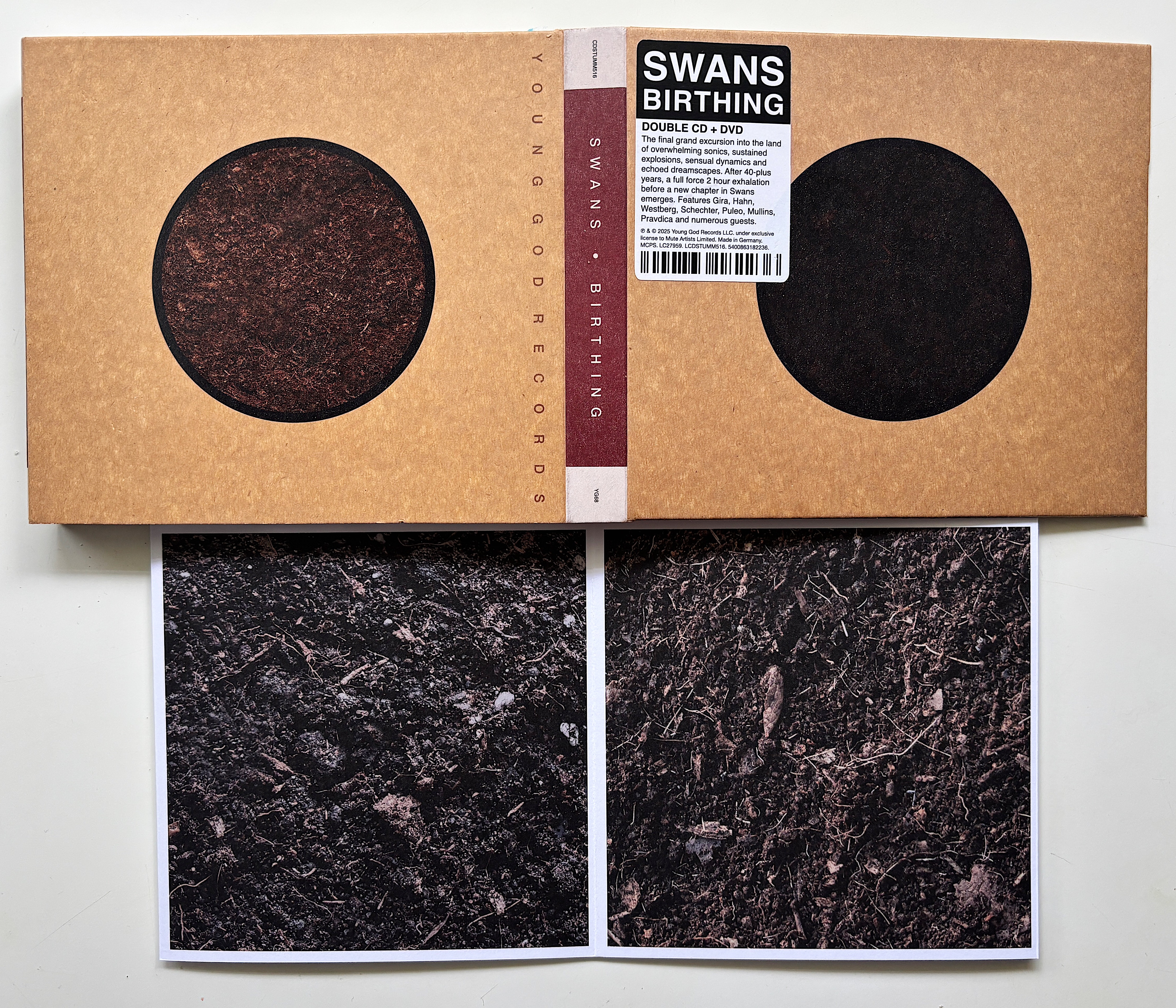 „Birthing” – Swans