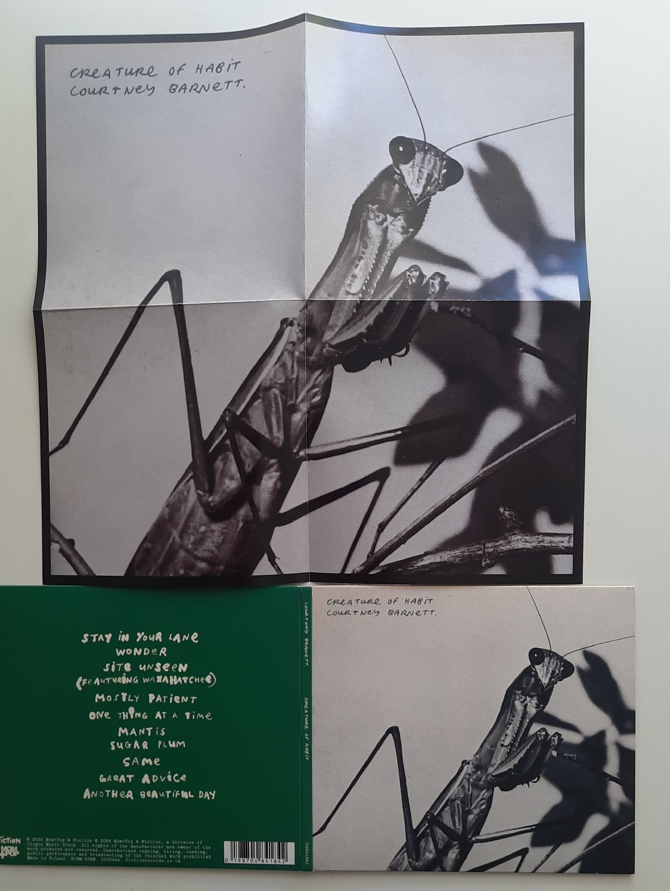 „Creature of Habit” – Courtney Barnett