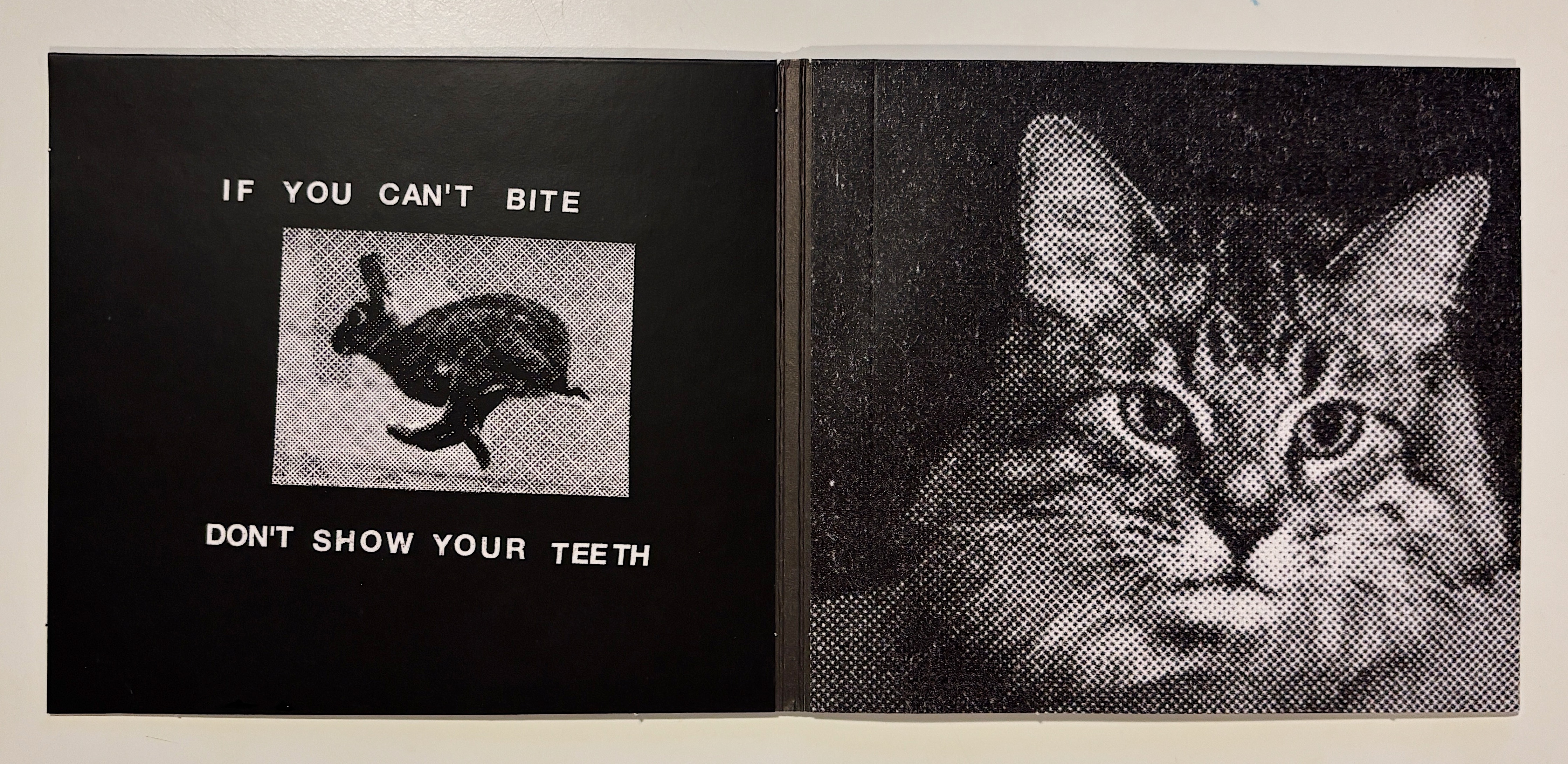 „Caught Stealing” Original Motion Picture Soundtrack – Idles