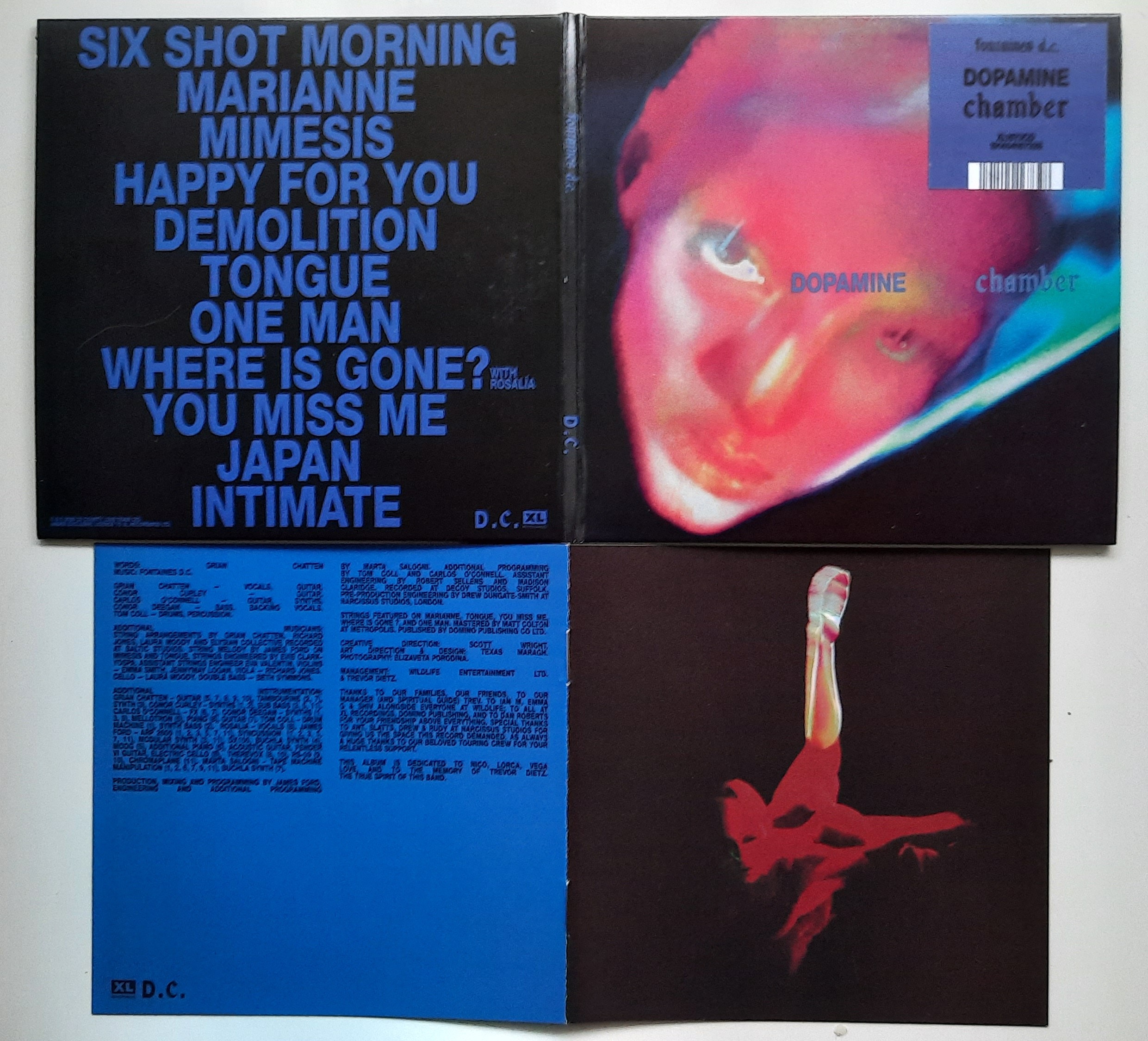 „Dopamine Chamber” – Fontaines D.C.