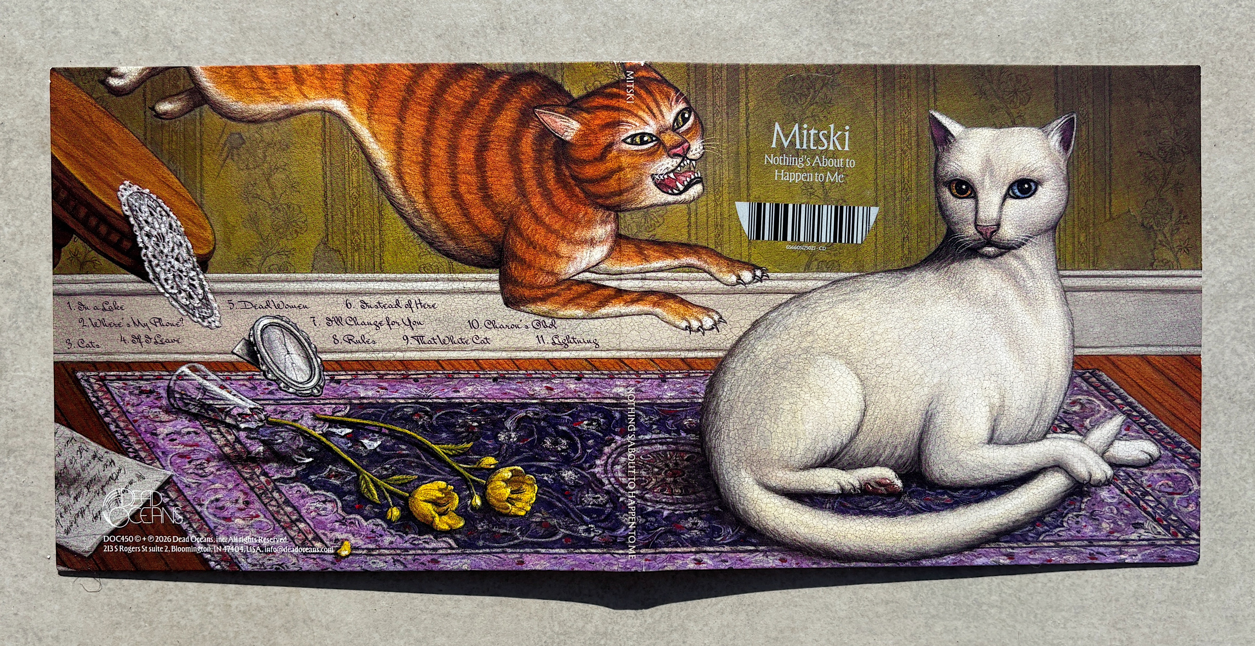 „Nothing’s About to Happen to Me” – Mitski