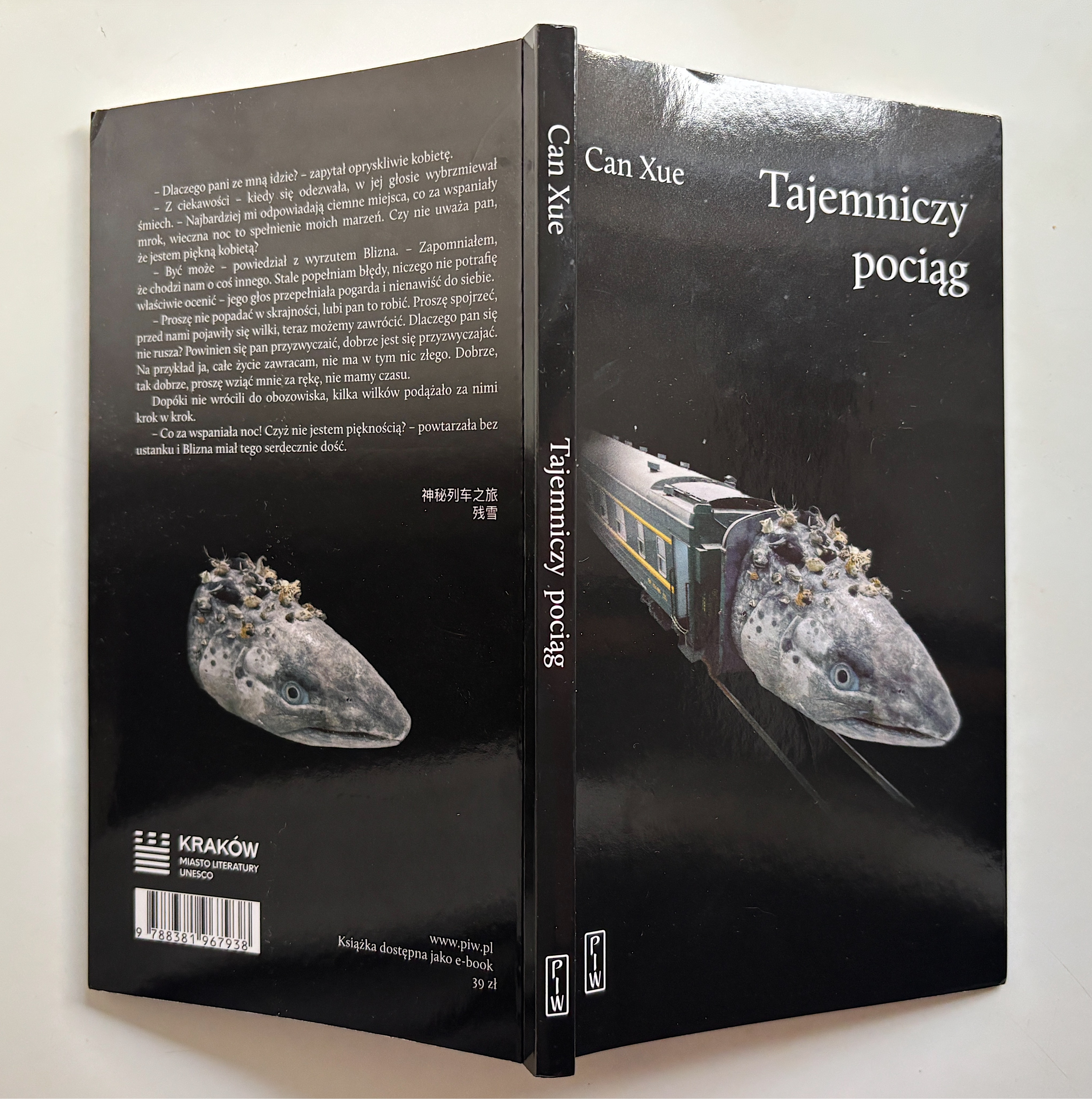 „Tajemniczy pociąg” – Can Xue