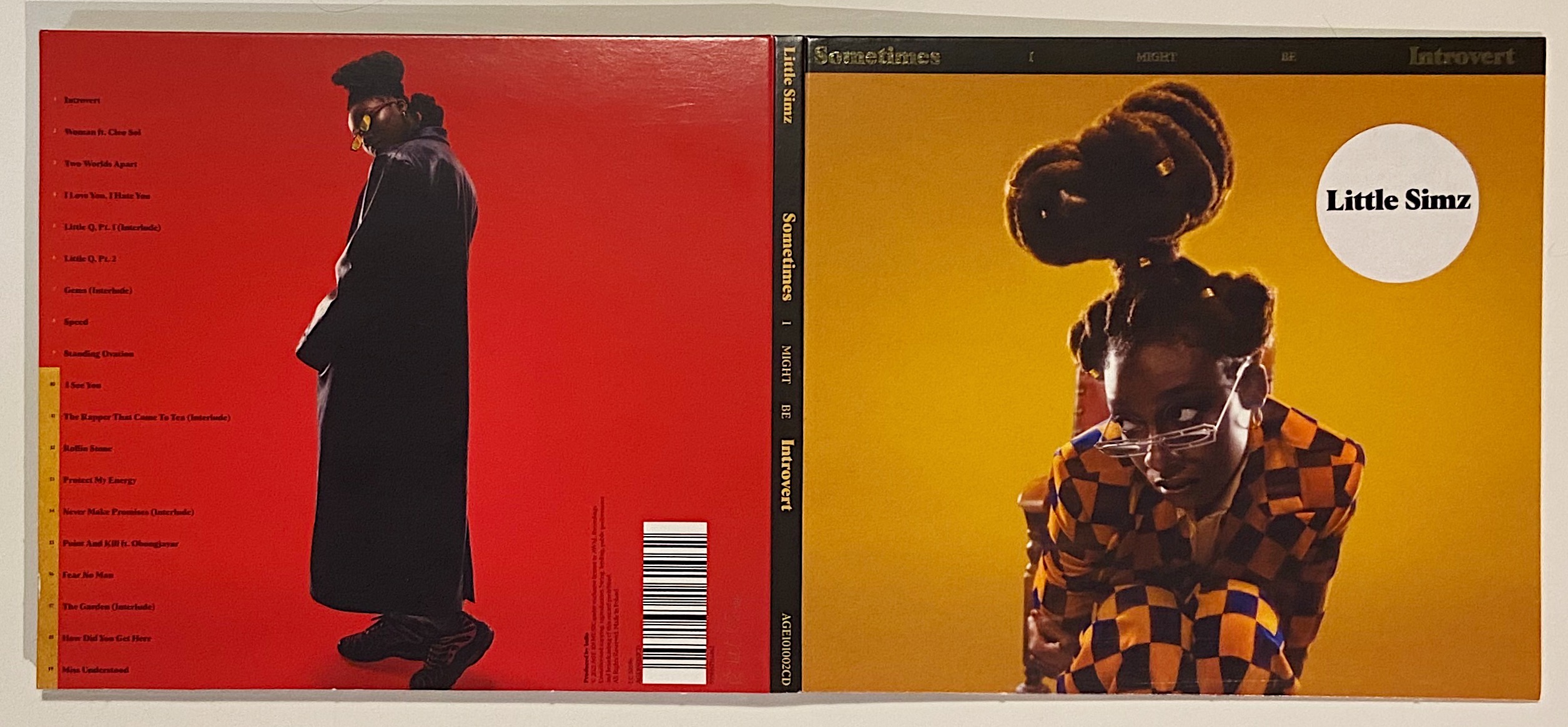 „Sometimes I Might Be Introvert” – Little Simz
